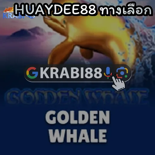 HUAYDEE88 ทางเลือก