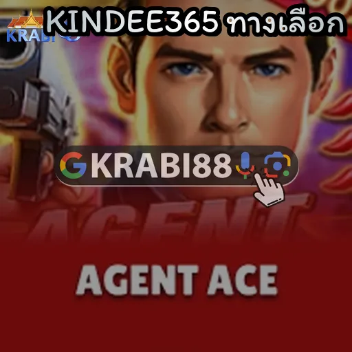 KINDEE365 ทางเลือก