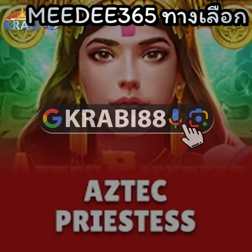 MEEDEE365 ทางเลือก