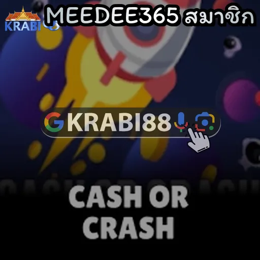 MEEDEE365 สมาชิก