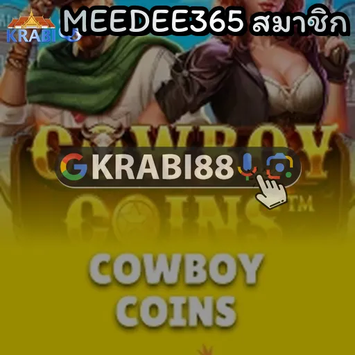 MEEDEE365 สมาชิก