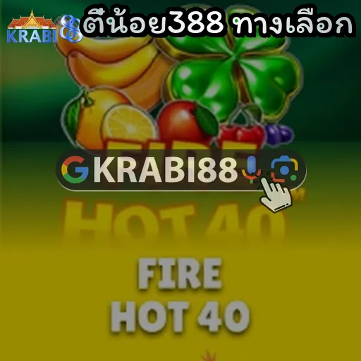 ตี๋น้อย388 ทางเลือก
