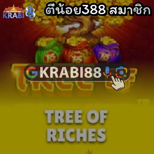 ตี๋น้อย388 สมาชิก