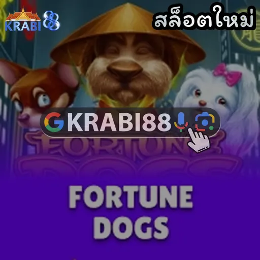 สล็อตใหม่